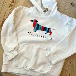 Youth SEASIDE hoodie! Get a piece of SEASIDE! Gently used good condition.